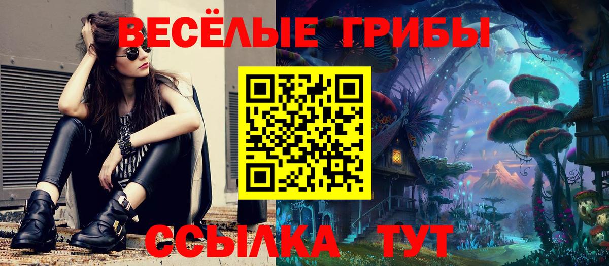 Старый Оскол  Галлюциногенные грибы MAGIC MUSHROOMS  Вход с VPN 